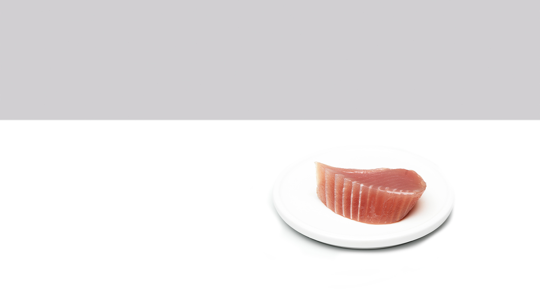 Studio Mixture, fabrique expérimentale d’images culinaires à Nantes : dish, thon