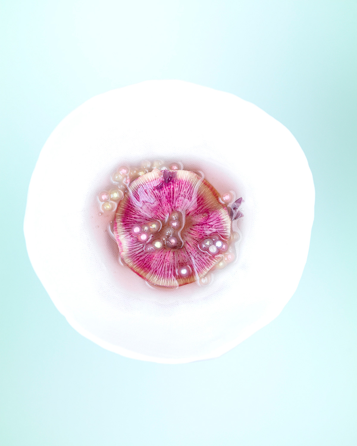Studio Mixture, fabrique expérimentale d’images culinaires à Nantes : pastels, perles