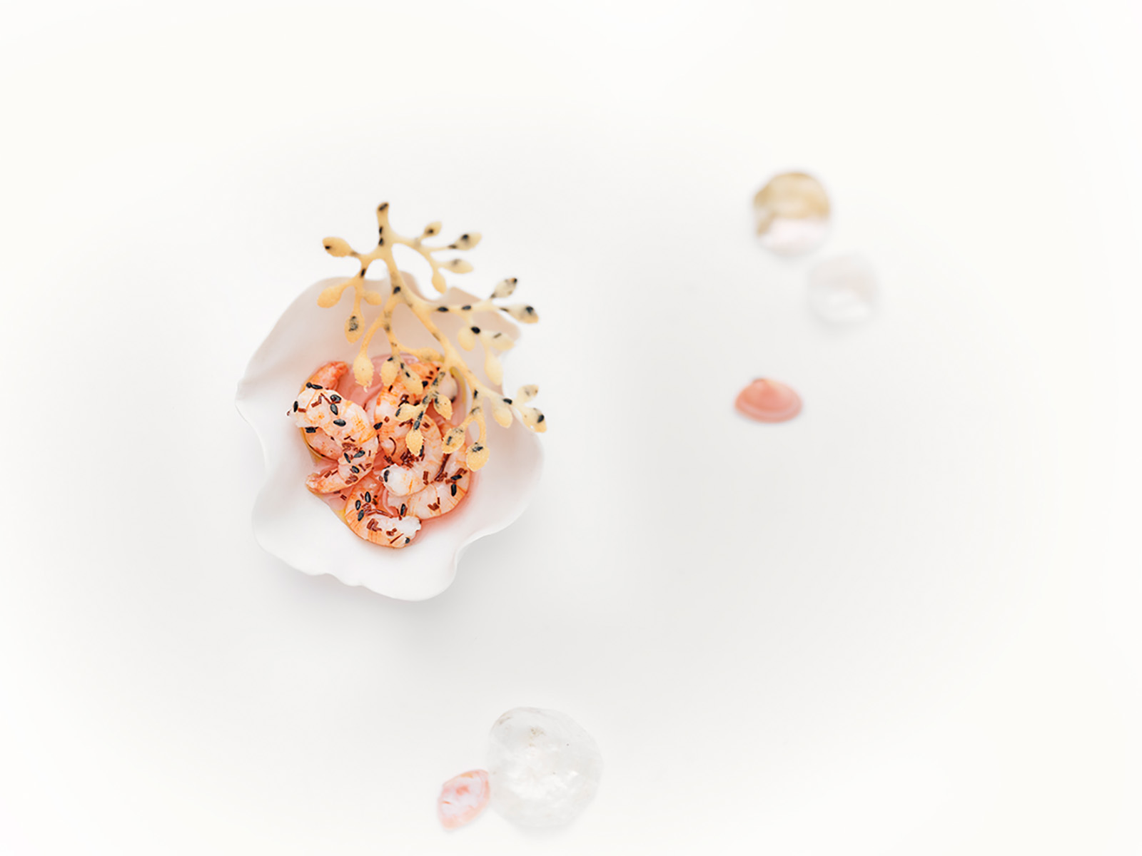 Studio Mixture, fabrique expérimentale d’images culinaires à Nantes : nature calme, crevettes