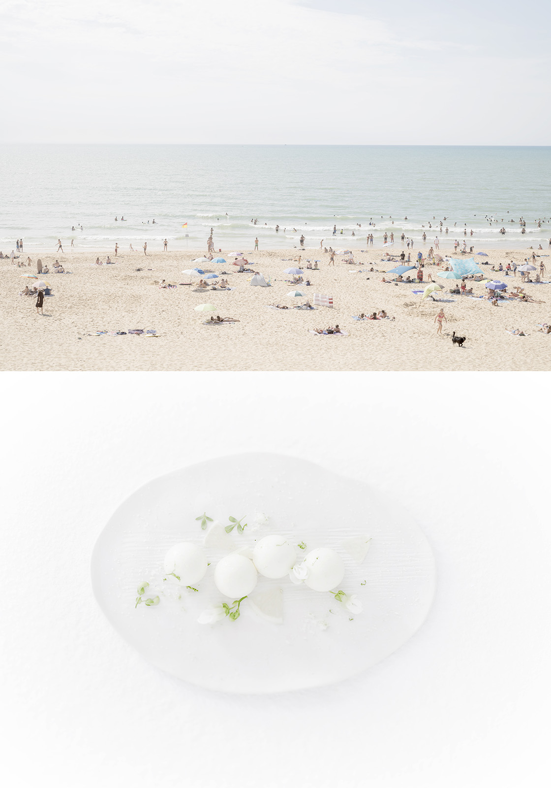 Studio Mixture, fabrique expérimentale d’images culinaires à Nantes : nature, calme…