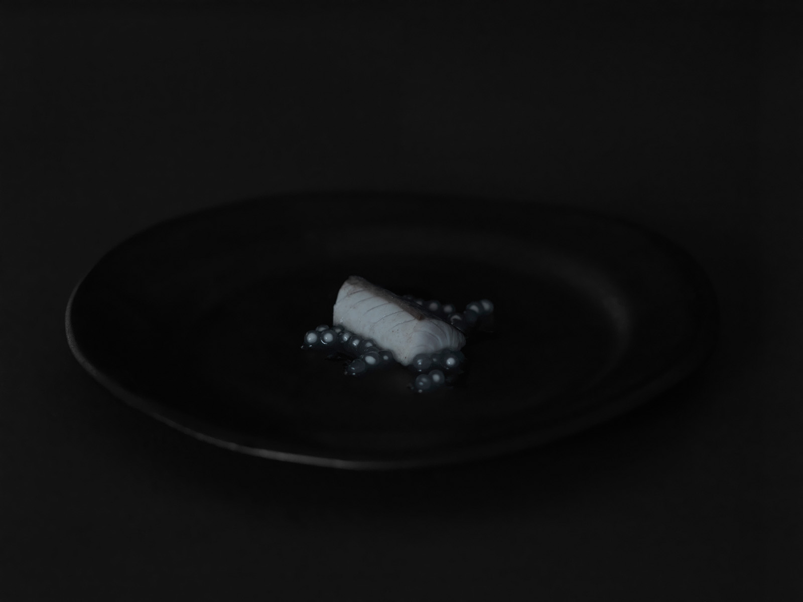 Studio Mixture, fabrique expérimentale d’images culinaires à Nantes : sous la surface, blackpearl