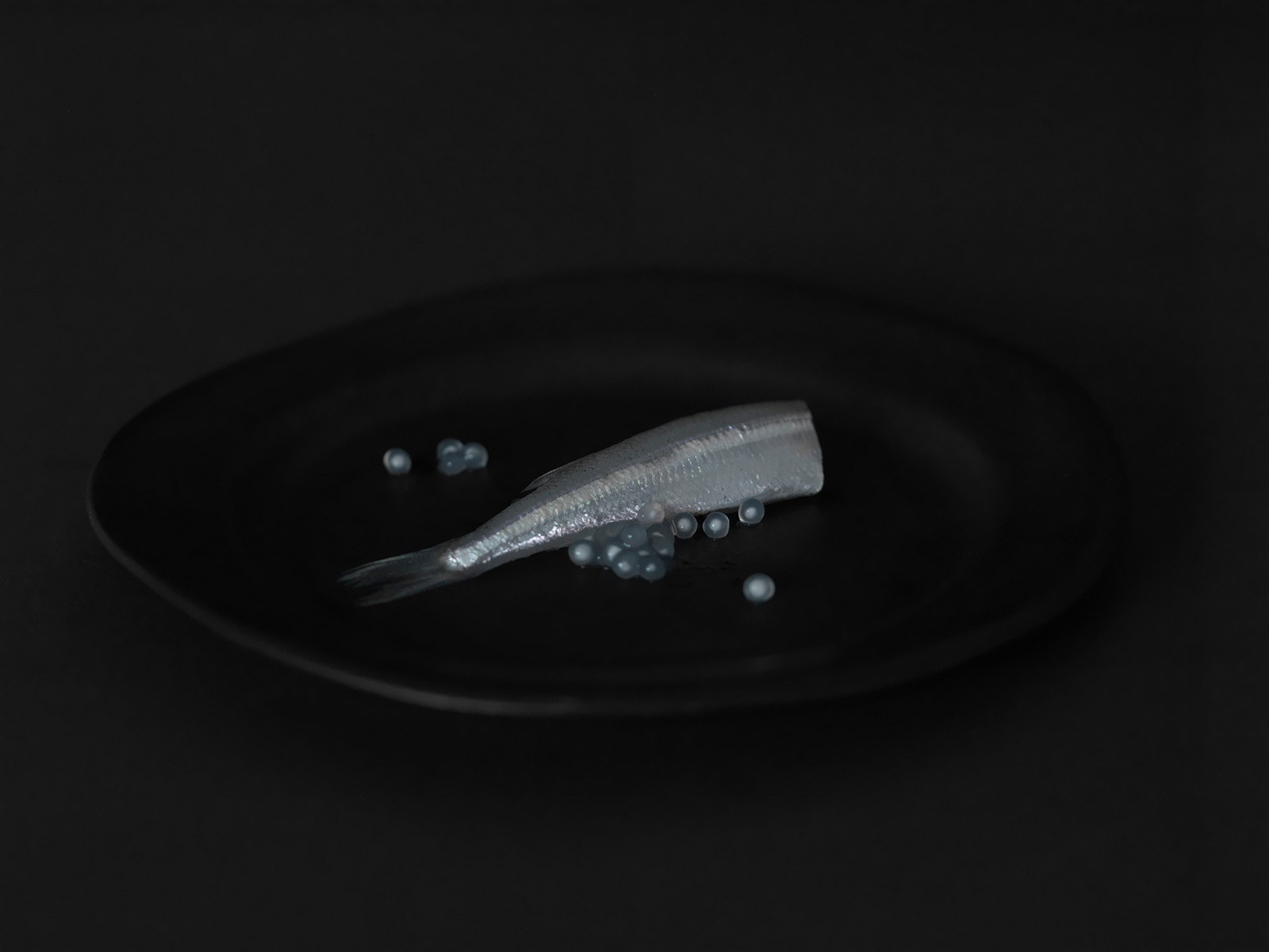 Studio Mixture, fabrique expérimentale d’images culinaires à Nantes : sous la surface, blackfriture