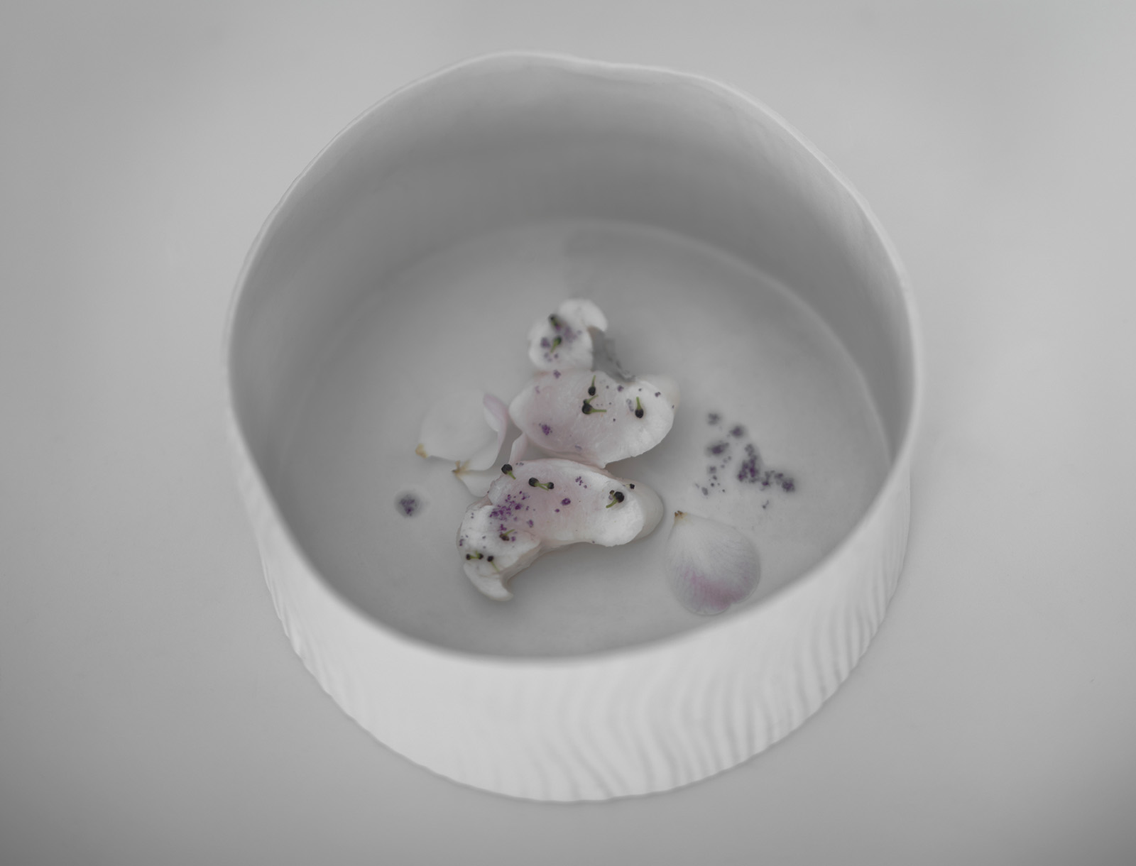 Studio Mixture, fabrique expérimentale d’images culinaires à Nantes : mer de pierres, lotte