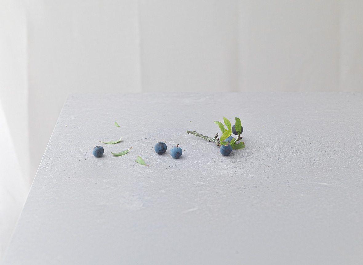 Studio Mixture, fabrique expérimentale d’images culinaires à Nantes : l'apaisante, prunus (brut)