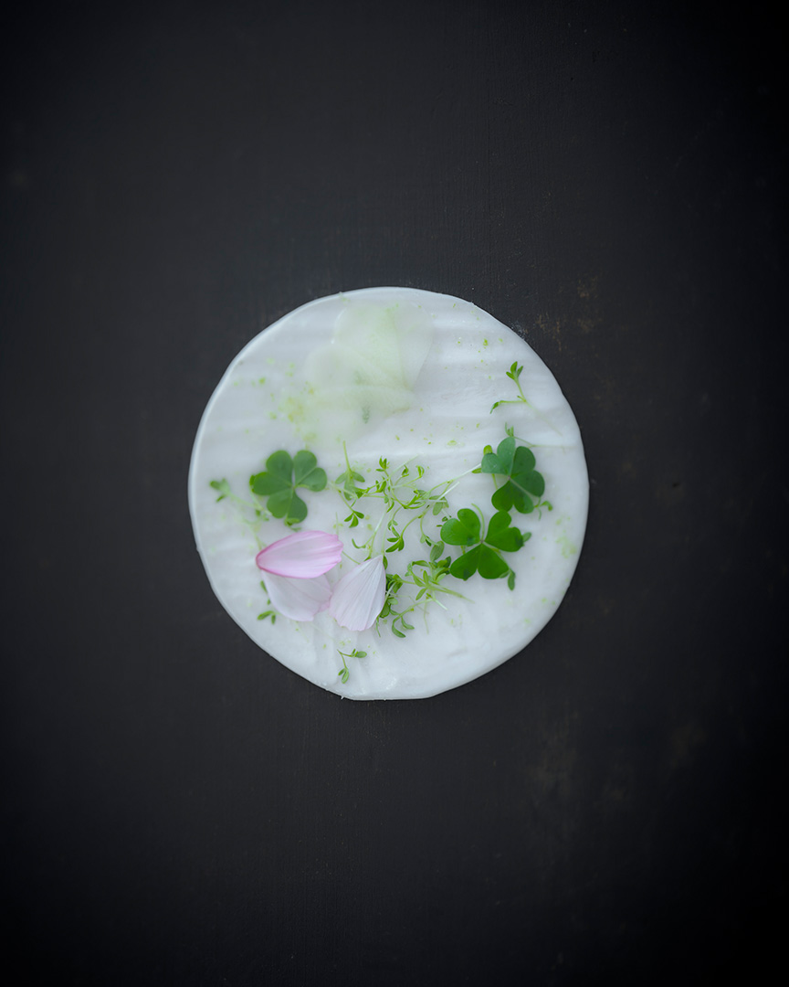 Studio Mixture, fabrique expérimentale d’images culinaires à Nantes : instant suspendu, herbes