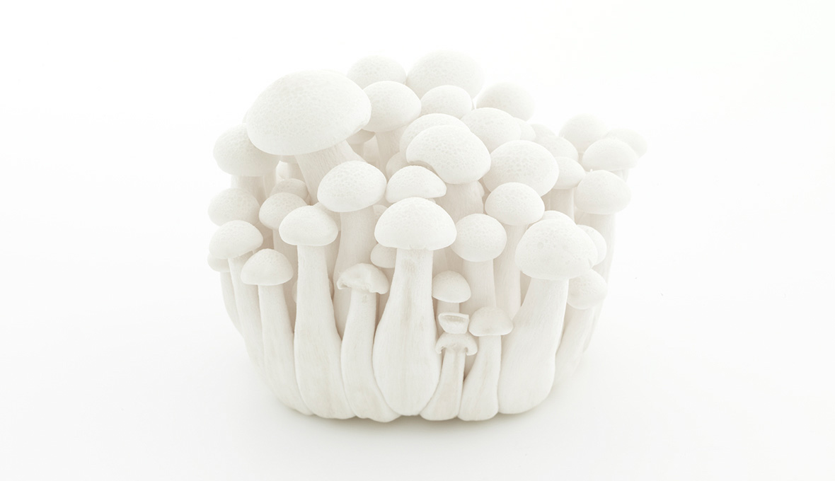 Studio Mixture, fabrique expérimentale d’images culinaires à Nantes : abstraction délicate, champignons